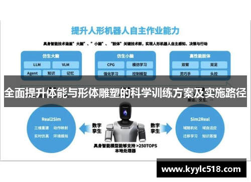 全面提升体能与形体雕塑的科学训练方案及实施路径